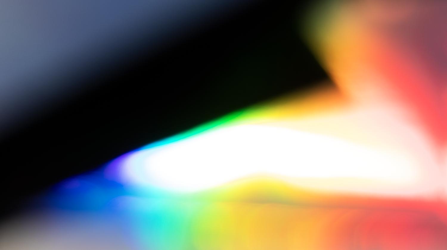 bfa exhibition 2021 zoe shields slide 4